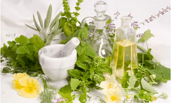 Potentzia handitzeko bitarteko naturalak