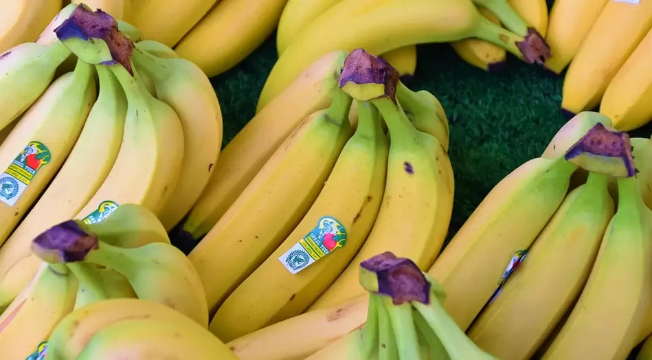 potentziarako bananak