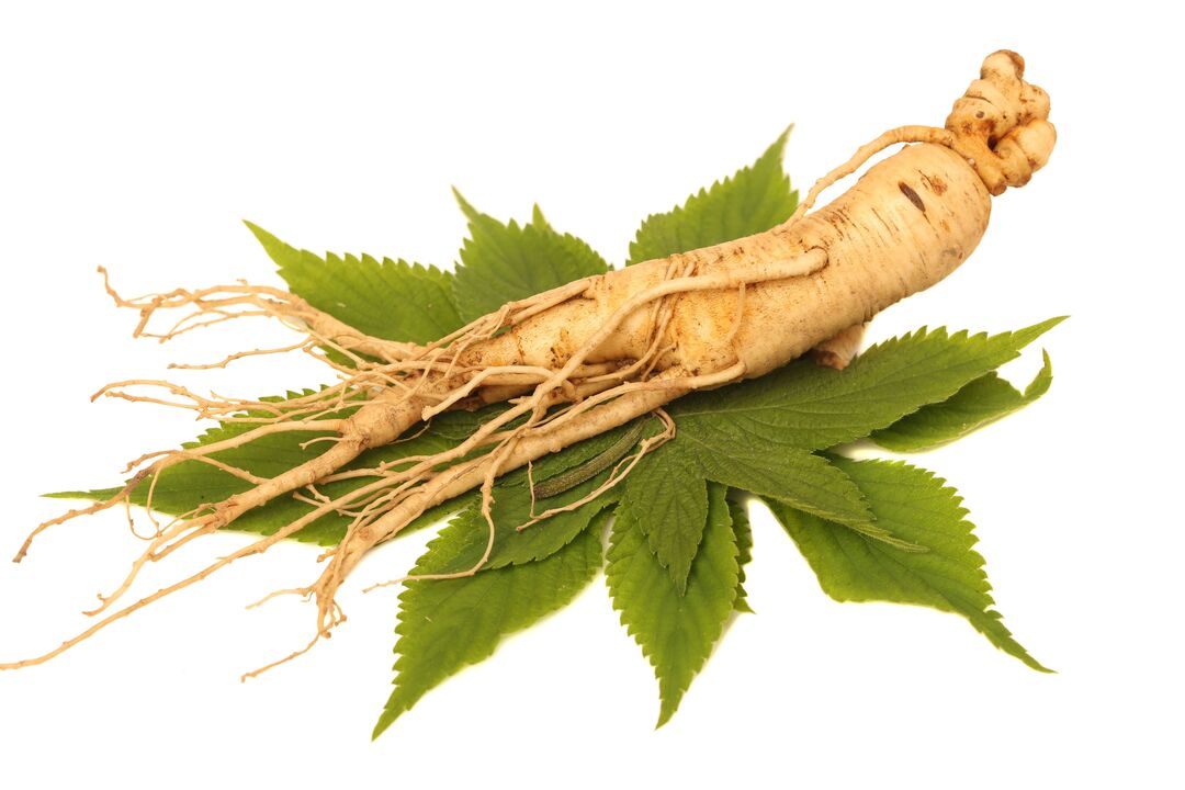 ginseng - Alfazone konposizioaren elementu bat